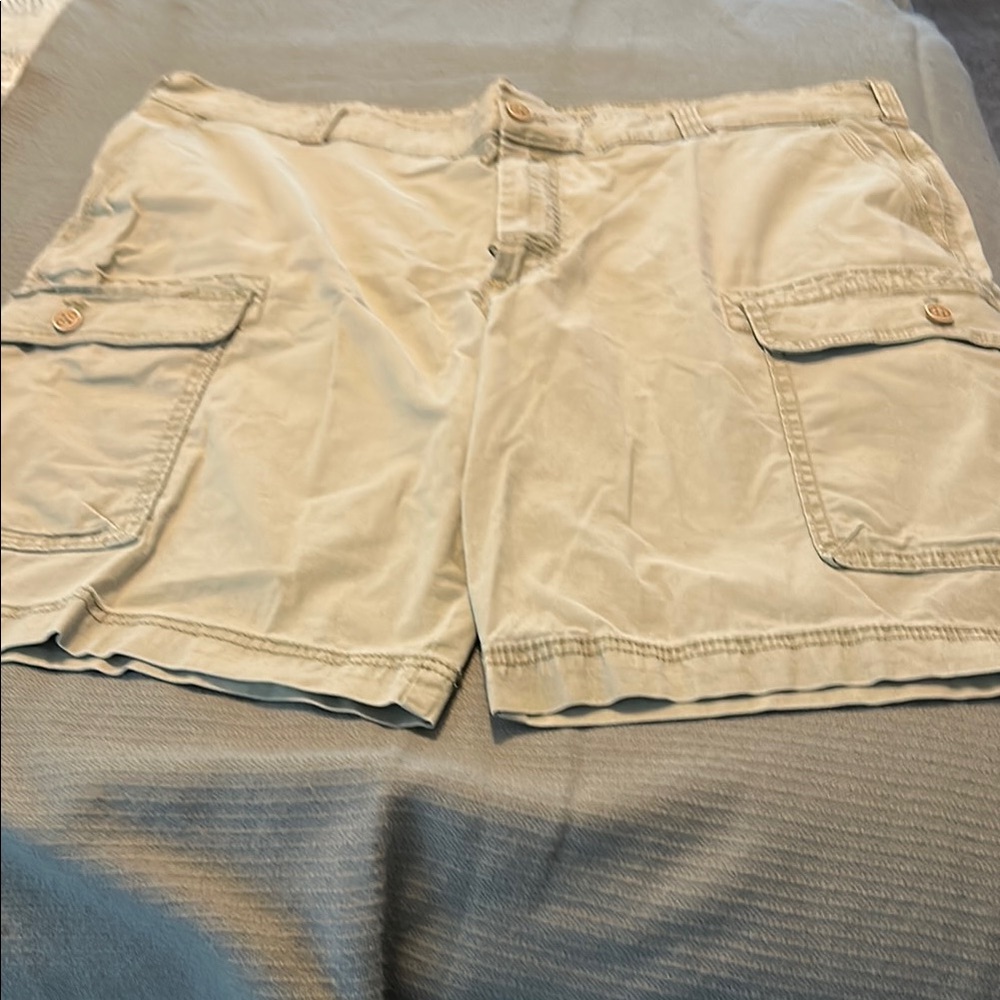 Izod Khaki Casual Shorts men’s